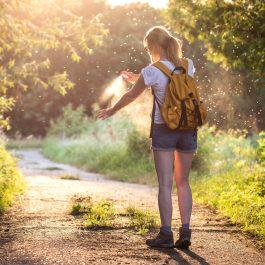 Conseils pour prévenir et soulager naturellement les piqûres d’insectes en été