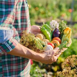 Une alimentation adaptée à l’automne aide à lutter contre la fatigue saisonnière.